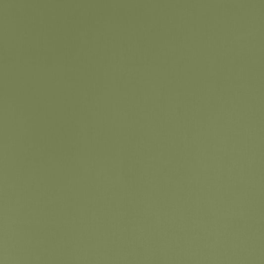 D07785 Coraggio Olive Fabric