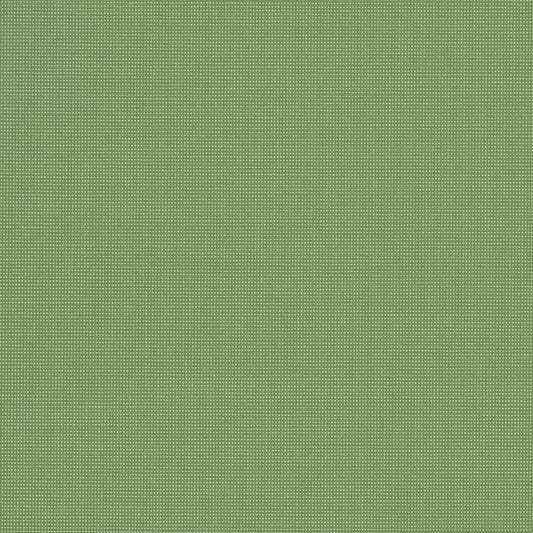 D1002 Plain & Solid Leaf Green Charlotte Fabrics