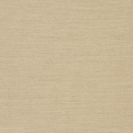 D1007 Plain & Solid Linen Beige & Taupe Charlotte Fabrics
