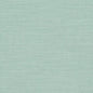 D1009 Plain & Solid Seamist Aqua & Teal Charlotte Fabrics
