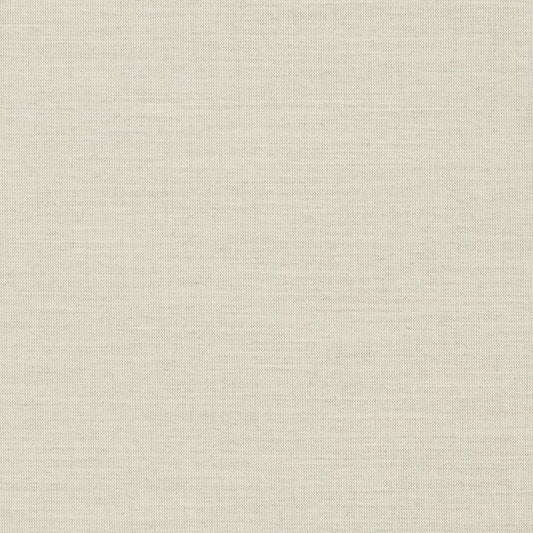 D1010 Plain & Solid Stone Grey & Silver Charlotte Fabrics