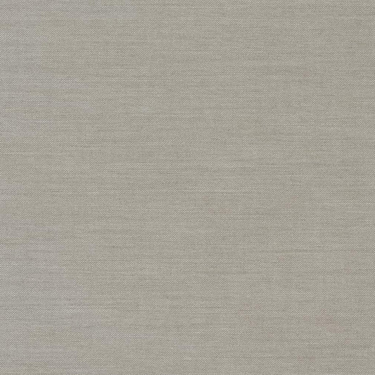 D1011 Plain & Solid Zinc Grey & Silver Charlotte Fabrics