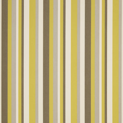 D1014 Stripe Lemon Gold & Yellow Charlotte Fabrics