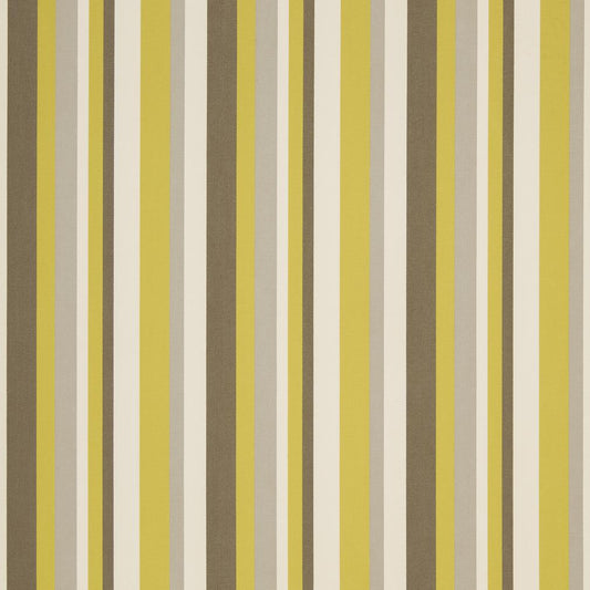 D1014 Stripe Lemon Gold & Yellow Charlotte Fabrics