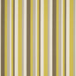 D1014 Stripe Lemon Gold & Yellow Charlotte Fabrics