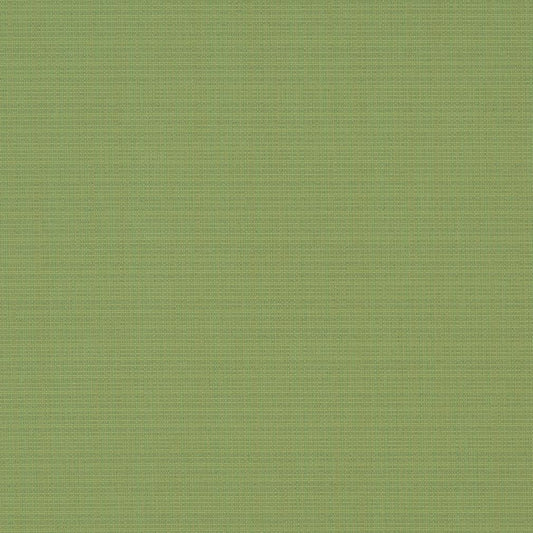 D1015 Plain & Solid Basil Green Charlotte Fabrics