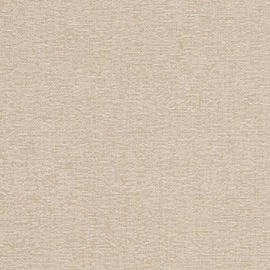 D1100 Plain & Solid Beige Beige & Taupe Charlotte Fabrics