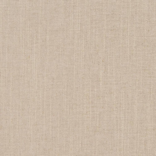 D1111 Plain & Solid Hazelnut Beige & Taupe Charlotte Fabrics
