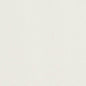 D1124 Plain & Solid Winter White & Ivory Charlotte Fabrics