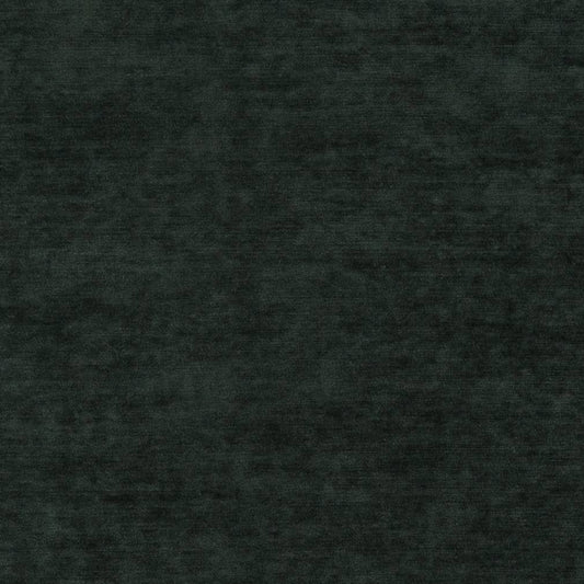 D1136 Plain & Solid Spruce Green Charlotte Fabrics