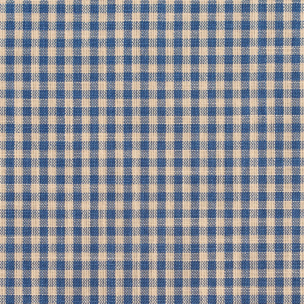 D116 Check & Houndstooth,Small Scale Wedgewood Gingham Blue Charlotte Fabrics