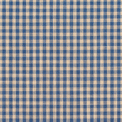 D116 Check & Houndstooth,Small Scale Wedgewood Gingham Blue Charlotte Fabrics