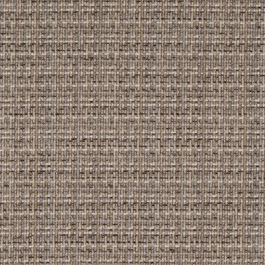 D1175 Plain & Solid Driftwood Grey & Silver Charlotte Fabrics