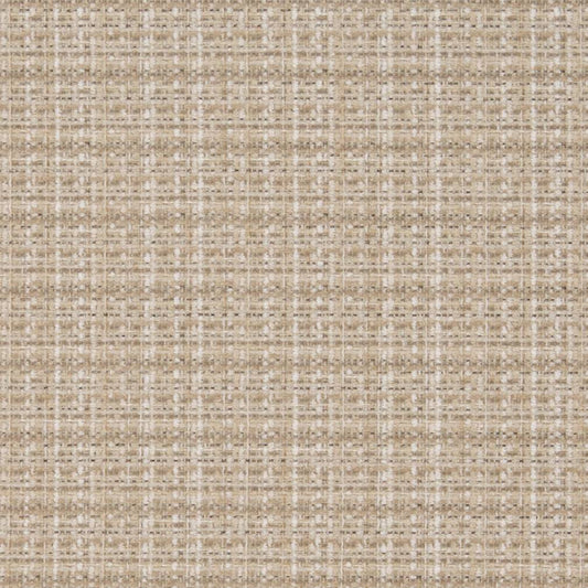 D1176 Plain & Solid Oat Beige & Taupe Charlotte Fabrics