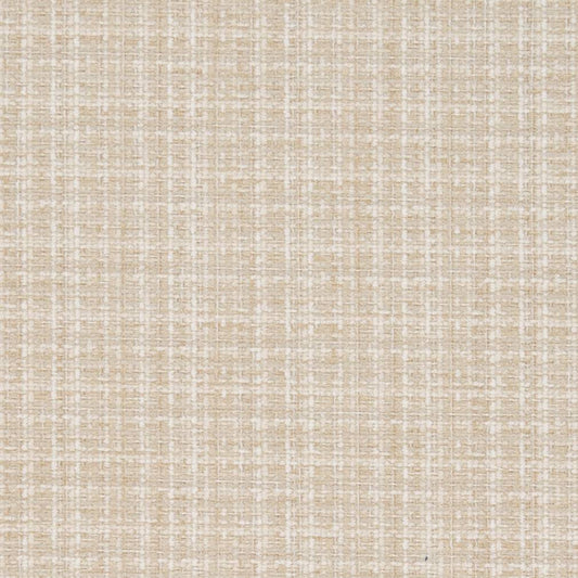 D1178 Plain & Solid Champagne Beige & Taupe Charlotte Fabrics
