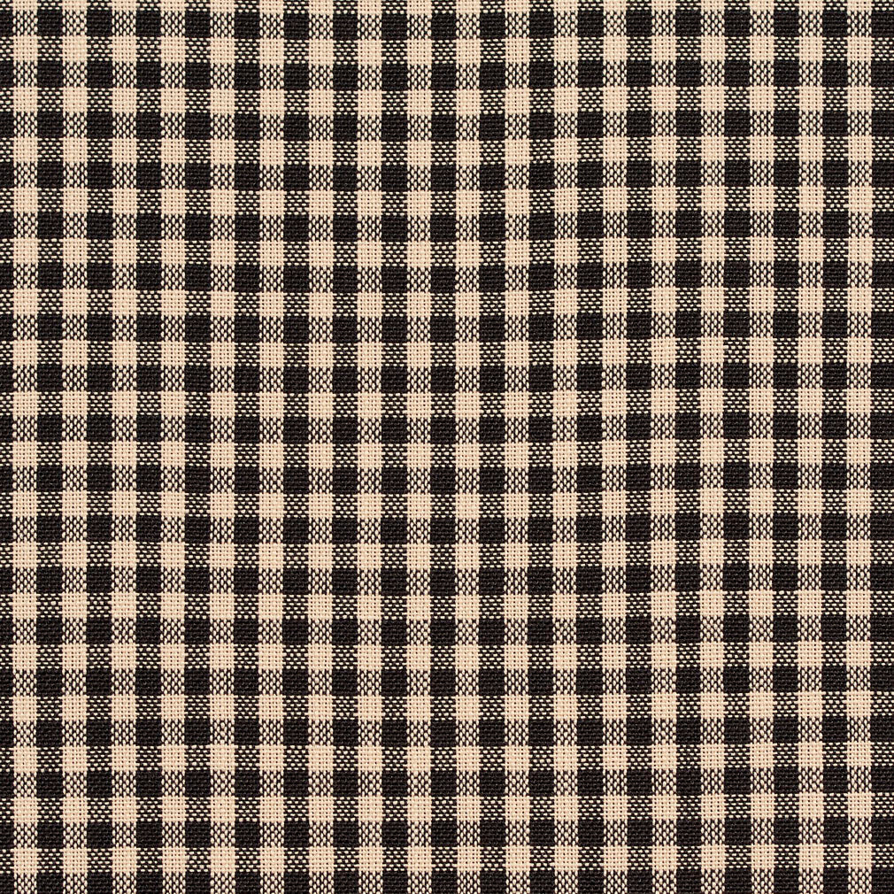 D117 Check & Houndstooth,Small Scale Onyx Gingham Black Charlotte Fabrics