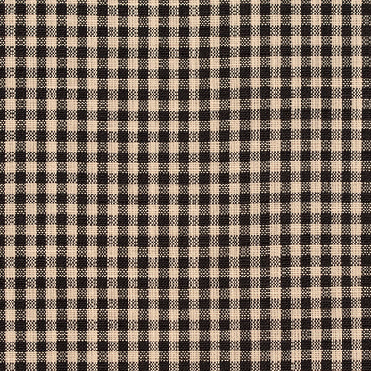 D117 Check & Houndstooth,Small Scale Onyx Gingham Black Charlotte Fabrics