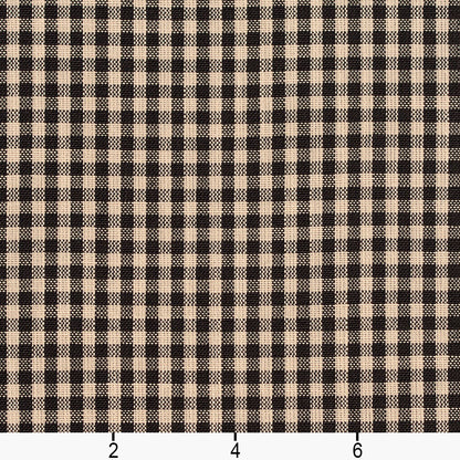 D117 Check & Houndstooth,Small Scale Onyx Gingham Black Charlotte Fabrics