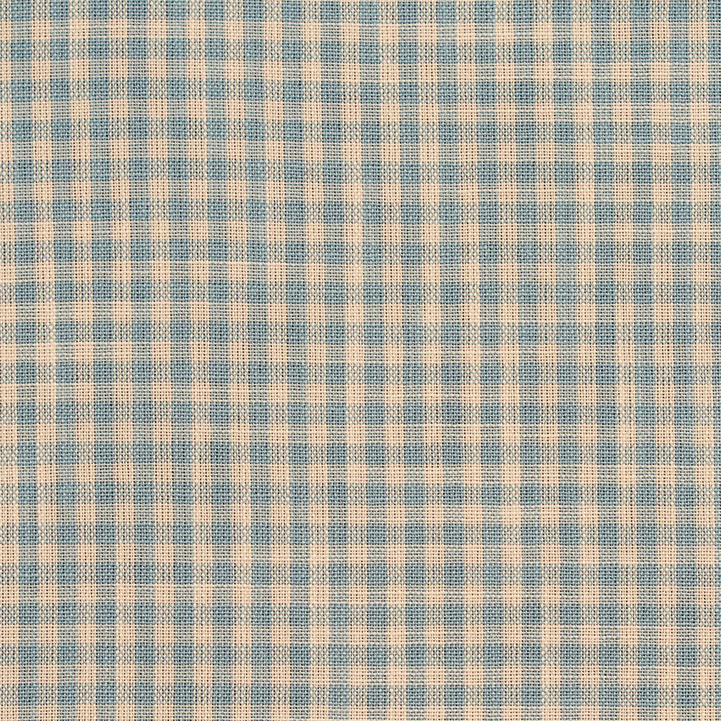 D118 Check & Houndstooth,Small Scale Cornflower Gingham Blue Charlotte Fabrics