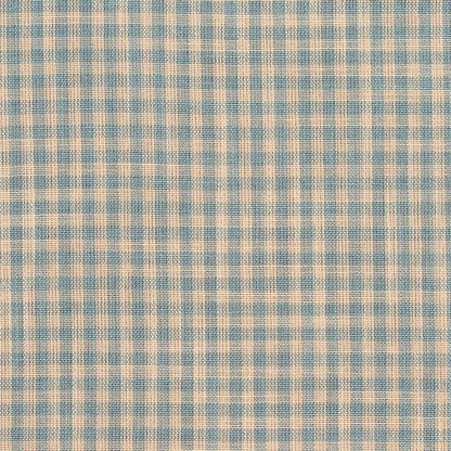 D118 Check & Houndstooth,Small Scale Cornflower Gingham Blue Charlotte Fabrics