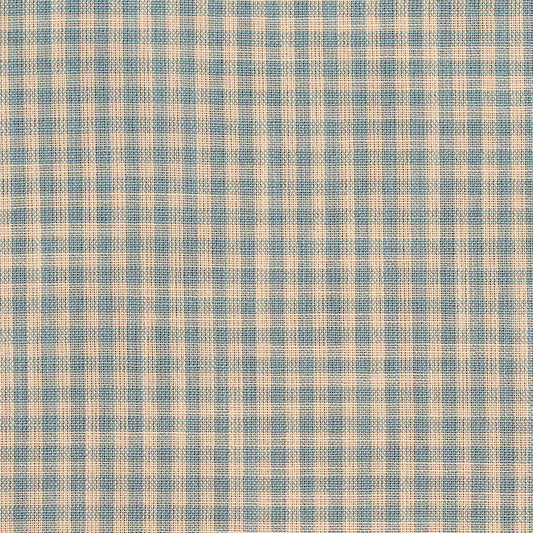 D118 Check & Houndstooth,Small Scale Cornflower Gingham Blue Charlotte Fabrics