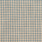 D118 Check & Houndstooth,Small Scale Cornflower Gingham Blue Charlotte Fabrics