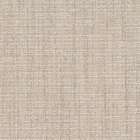 D1198 Plain & Solid Ecru Grey & Silver Charlotte Fabrics