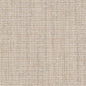 D1198 Plain & Solid Ecru Grey & Silver Charlotte Fabrics