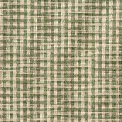 D119 Check & Houndstooth,Small Scale Juniper Gingham Green Charlotte Fabrics