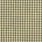 D119 Check & Houndstooth,Small Scale Juniper Gingham Green Charlotte Fabrics