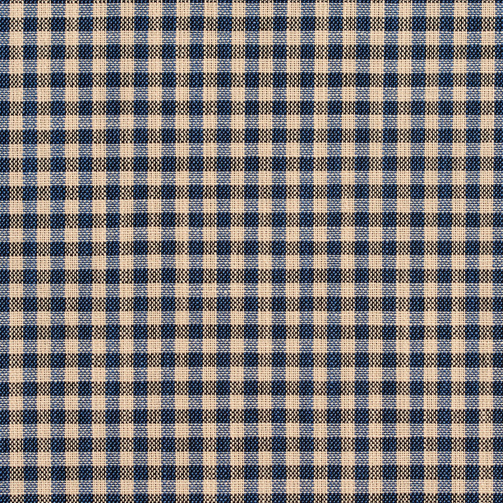 D120 Check & Houndstooth,Small Scale Indigo Gingham Blue Charlotte Fabrics
