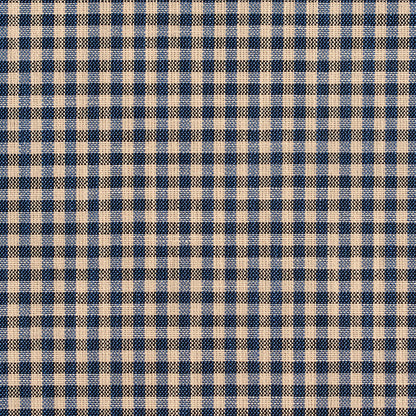 D120 Check & Houndstooth,Small Scale Indigo Gingham Blue Charlotte Fabrics