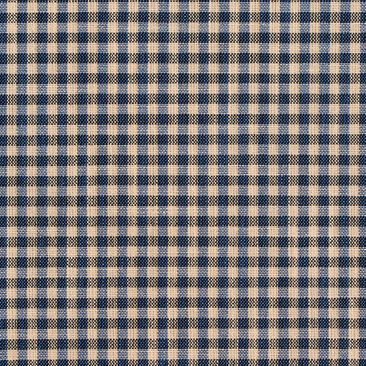 D120 Check & Houndstooth,Small Scale Indigo Gingham Blue Charlotte Fabrics