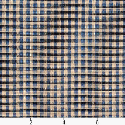 D120 Check & Houndstooth,Small Scale Indigo Gingham Blue Charlotte Fabrics