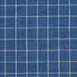 D123 Plaid,Small Scale Wedgewood Checkerboard Blue Charlotte Fabrics