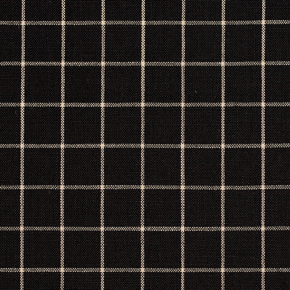 D124 Plaid,Small Scale Onyx Checkerboard Black Charlotte Fabrics