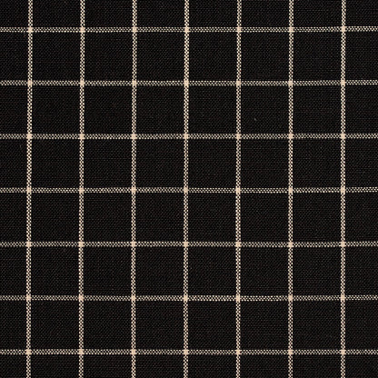 D124 Plaid,Small Scale Onyx Checkerboard Black Charlotte Fabrics