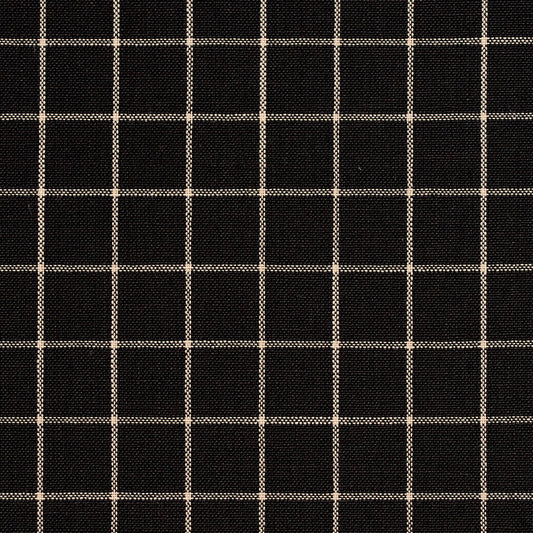 D124 Plaid,Small Scale Onyx Checkerboard Black Charlotte Fabrics