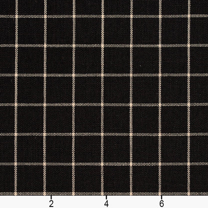 D124 Plaid,Small Scale Onyx Checkerboard Black Charlotte Fabrics
