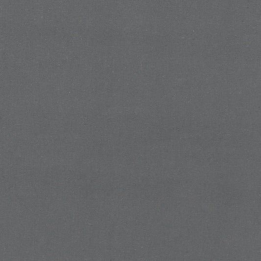 D1253 Plain & Solid Pewter Grey & Silver Charlotte Fabrics