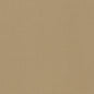 D1258 Plain & Solid Wheat Brown Charlotte Fabrics