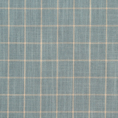 D125 Plaid,Small Scale Cornflower Checkerboard Blue Charlotte Fabrics