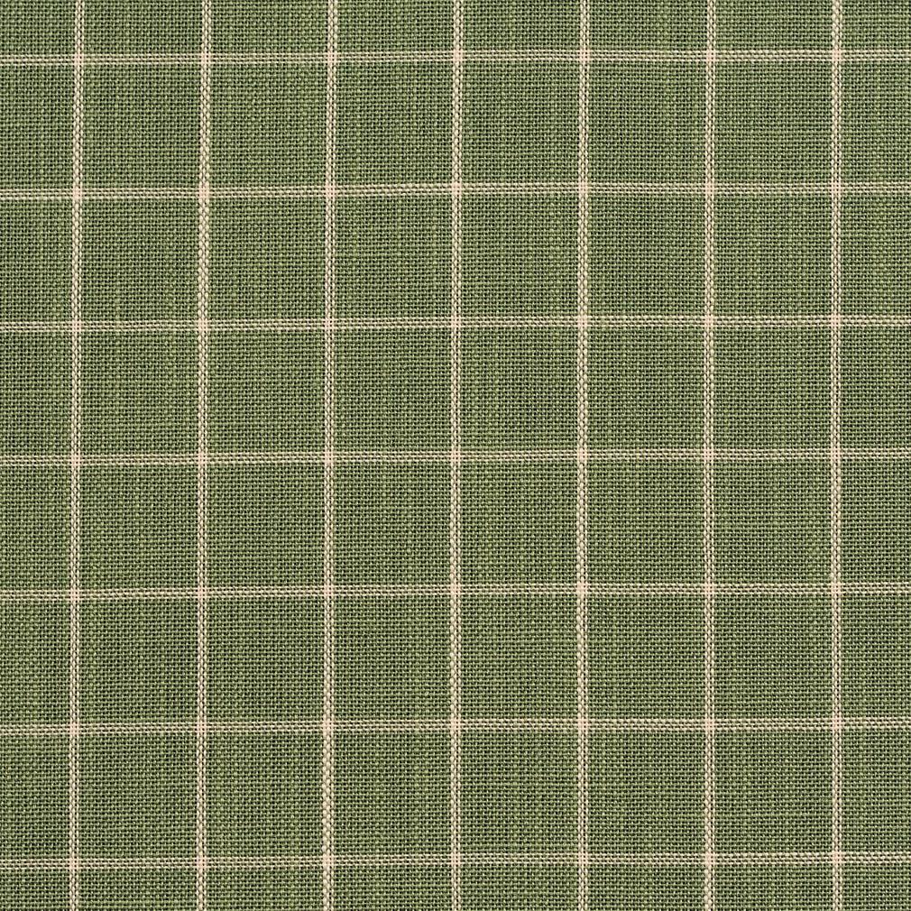 D126 Plaid,Small Scale Juniper Checkerboard Green Charlotte Fabrics