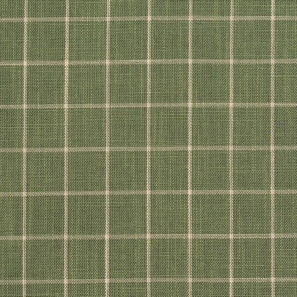 D126 Plaid,Small Scale Juniper Checkerboard Green Charlotte Fabrics