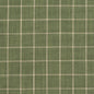 D126 Plaid,Small Scale Juniper Checkerboard Green Charlotte Fabrics