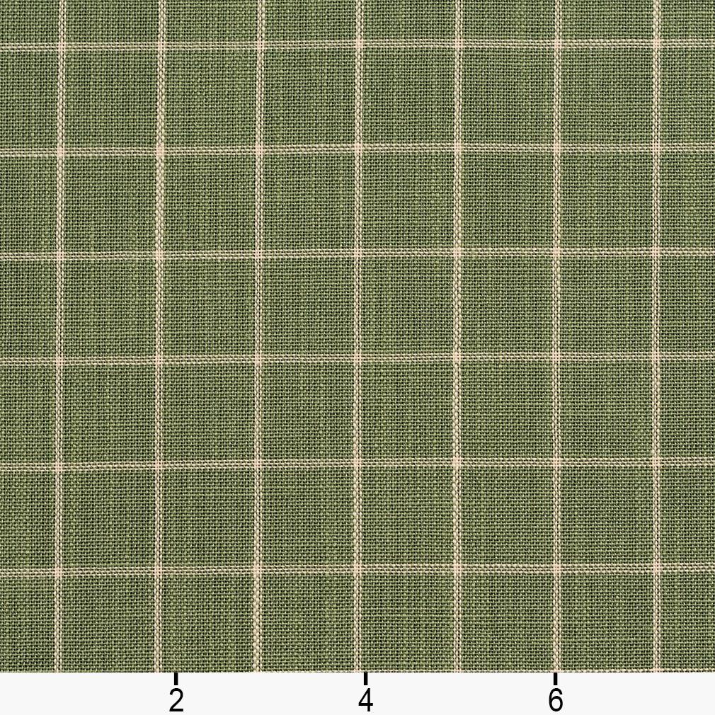 D126 Plaid,Small Scale Juniper Checkerboard Green Charlotte Fabrics