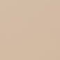 D1276 Plain & Solid,Twill Bisque Beige & Taupe Charlotte Fabrics