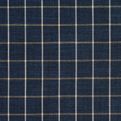 D127 Plaid,Small Scale Indigo Checkerboard Blue Charlotte Fabrics
