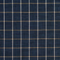 D127 Plaid,Small Scale Indigo Checkerboard Blue Charlotte Fabrics