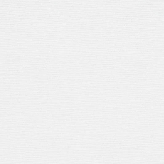 D1358 Plain & Solid Winter White White & Ivory Charlotte Fabrics